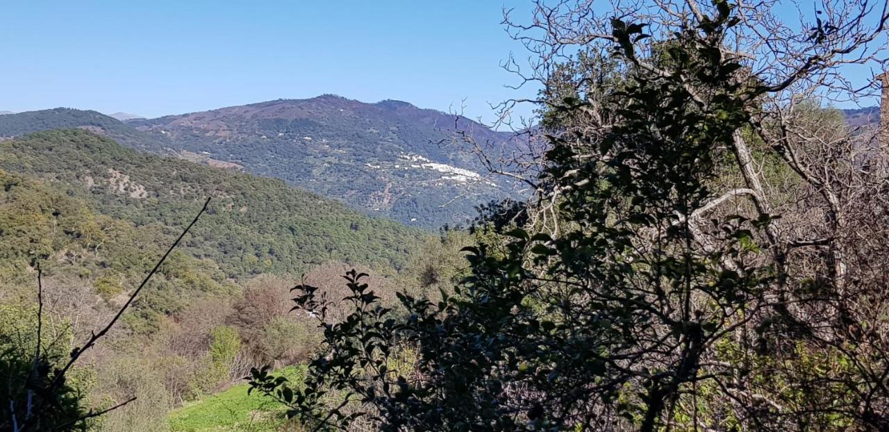 Molino De Santos Villa Benarraba ภายนอก รูปภาพ
