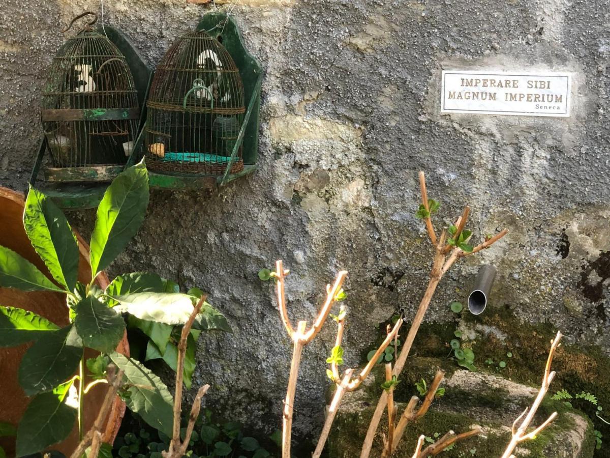 Molino De Santos Villa Benarraba ภายนอก รูปภาพ